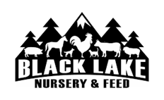 Store Logo Not Available