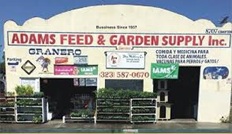 Store Logo Not Available